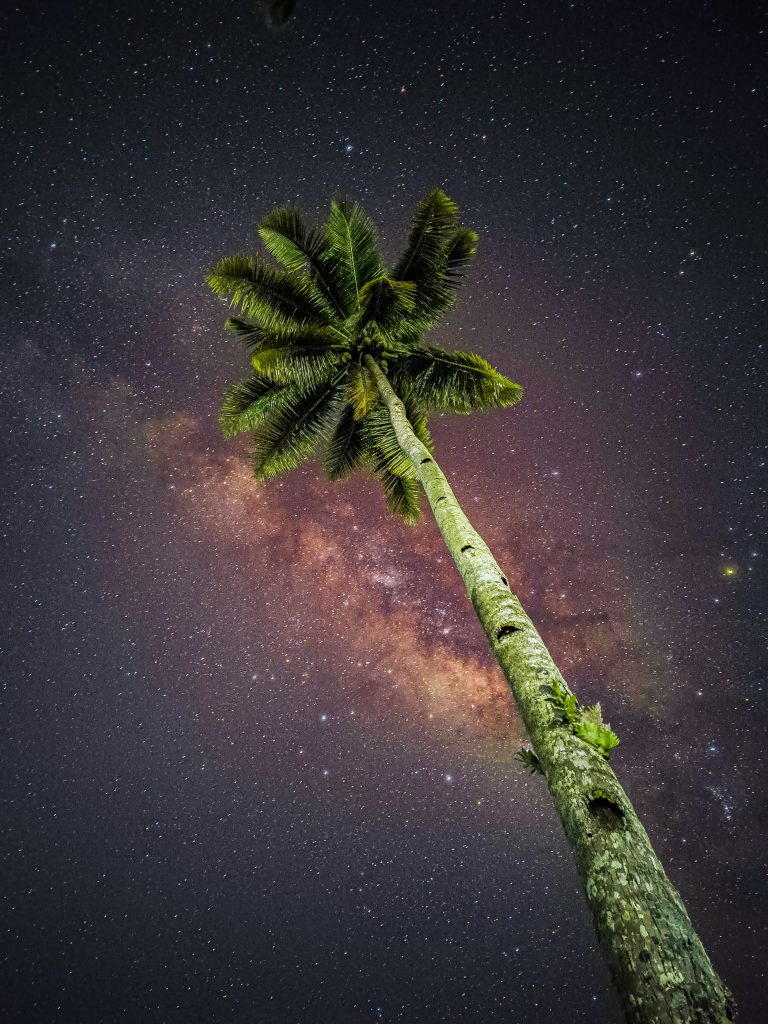 milkyway above the coconut tree